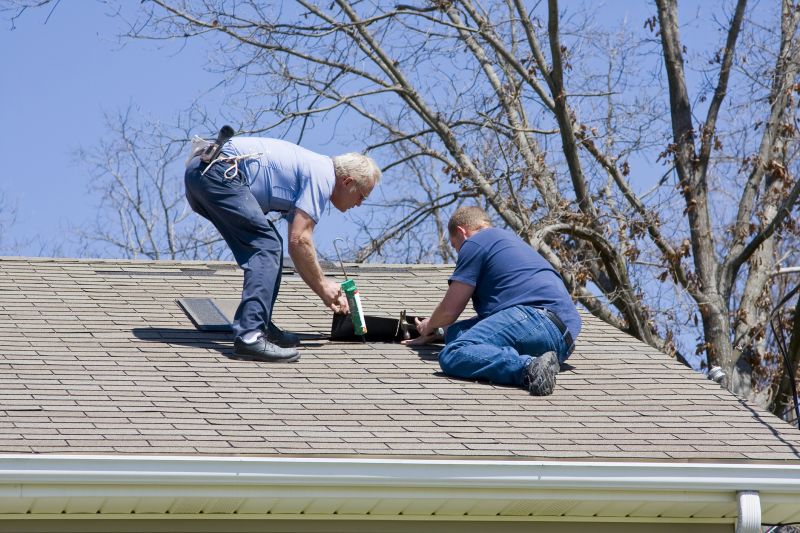 Expert Roof Repair