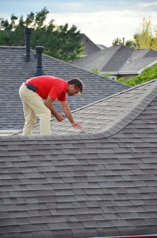 When to Hire Roofing Professionals