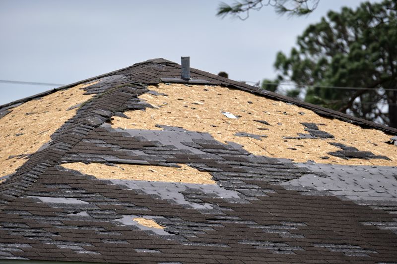 When to Hire Roofing Professionals